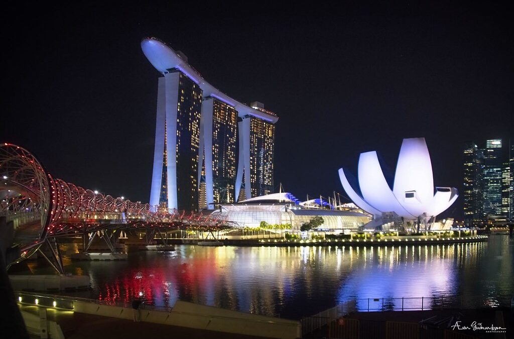 Giorno 10 – Singapore. La città del leone